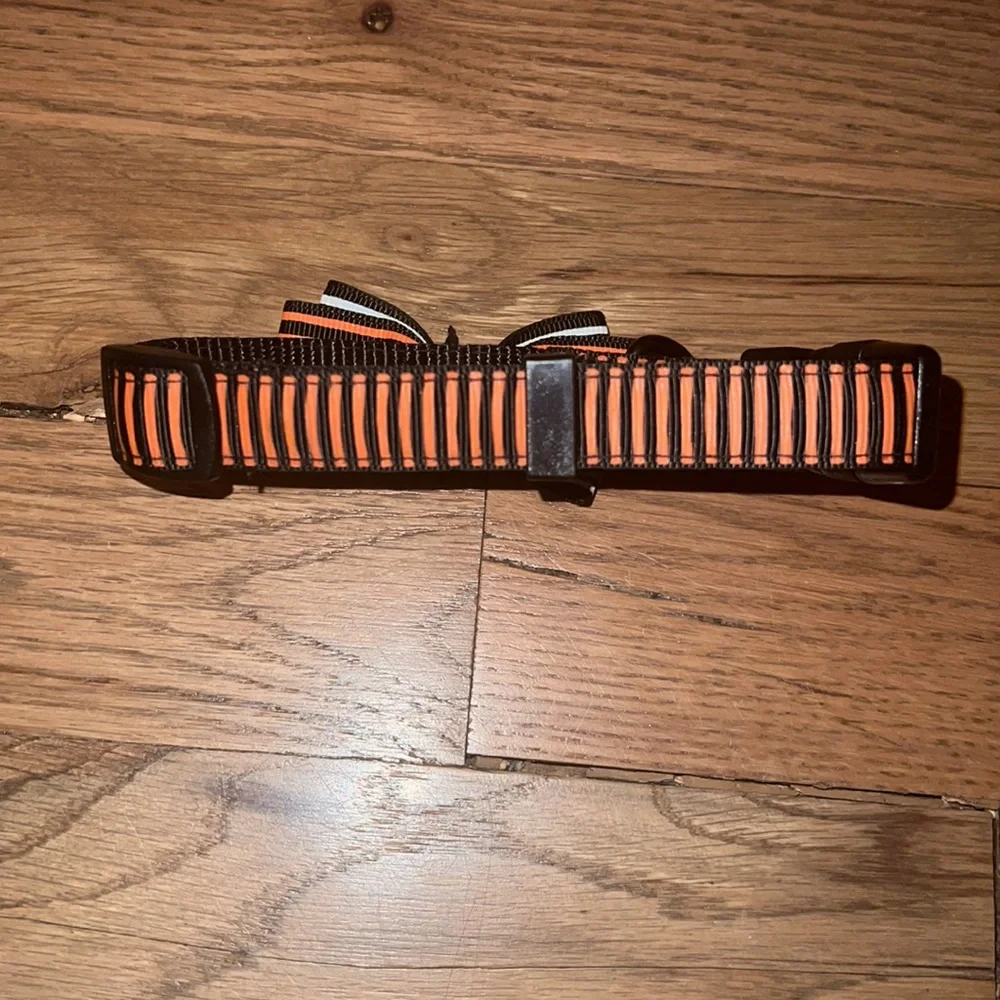 Halloween Dog Collar Size Small